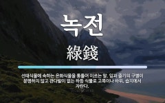 녹전 뜻: 선태식물에 속하는 은화식물을 통틀어 이르는 말. 잎과 줄기의 구별이 분명하지 않고 관다발이