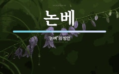 논베 뜻: ‘논벼’의 방언