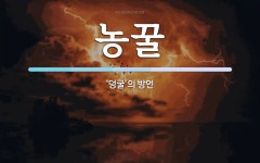 농꿀 뜻: ‘덩굴’의 방언