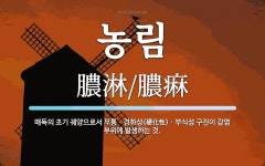 농림 뜻: 매독의 초기 궤양으로서 무통ㆍ경화성(硬化性)ㆍ부식성 구진이 감염 부위에 발생하는 것.