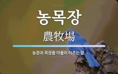 농목장 뜻: 농장과 목장을 아울러 이르는 말.