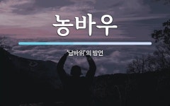 농바우 뜻: ‘남바위’의 방언