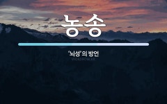 농송 뜻: ‘뇌성’의 방언