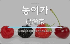 농어가 뜻: 농업이나 어업으로 생계를 꾸려 가는 가정. 또는 그런 집.