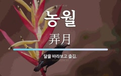 농월 뜻: 달을 바라보고 즐김.