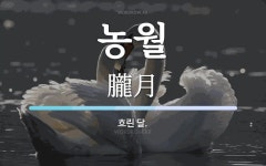 농월 뜻: 흐린 달.