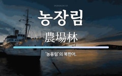 농장림 뜻: ‘농용림’의 북한어.