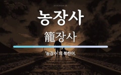 농장사 뜻: ‘농장수’의 북한어.