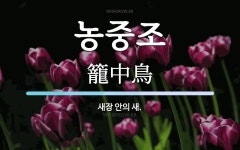 농중조 뜻: 새장 안의 새.