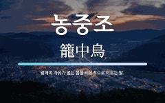 농중조 뜻: 얽매여 자유가 없는 몸을 비유적으로 이르는 말.