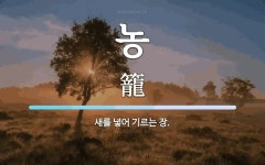 농 뜻: 새를 넣어 기르는 장.