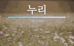 누리 뜻: ‘가리’의 옛말.