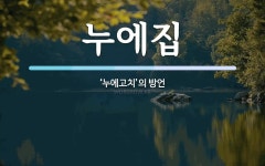 누에집 뜻: ‘누에고치’의 방언