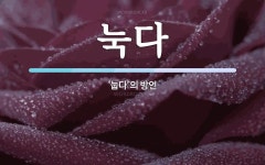 눅다 뜻: ‘눕다’의 방언