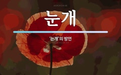 눈개 뜻: ‘는개’의 방언
