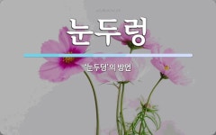 눈두렁 뜻: ‘눈두덩’의 방언