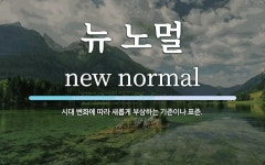 뉴 노멀 뜻: 시대 변화에 따라 새롭게 부상하는 기준이나 표준.