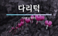 다리턱 뜻: ‘다리목’의 북한어.