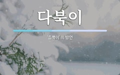 다북이 뜻: ‘듬뿍이’의 방언