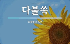 다불쑥 뜻: ‘다북쑥’의 방언