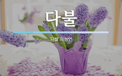 다불 뜻: ‘다발’의 방언