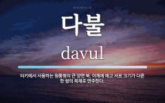 다불 뜻: 터키에서 사용하는 원통형의 큰 양면 북. 어깨에 메고 서로 크기가 다른 한 쌍의 북채로 연