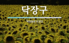 닥장구 뜻: ‘딱정벌레’의 방언