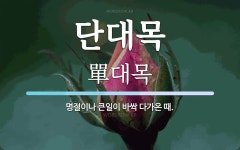 단대목 뜻: 명절이나 큰일이 바싹 다가온 때.