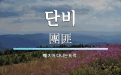 단비 뜻: 떼 지어 다니는 비적.