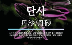 단사 뜻: 수은으로 이루어진 황화 광물. 육방 정계에 속하며 진한 붉은색을 띠고 다이아몬드 광택이 난