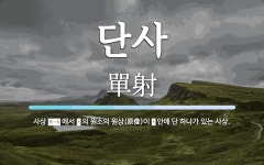 단사 뜻: 사상 