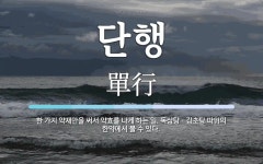 단행 뜻: 한 가지 약재만을 써서 약효를 나게 하는 일. 독삼탕ㆍ감초탕 따위의 한약에서 볼 수 있다.