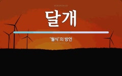 달개 뜻: ‘월식’의 방언