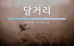 달거리 뜻: 한 달을 거름. 또는 한 달씩 거름.
