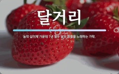 달거리 뜻: 농악 십이채 가운데 1년 열두 달의 명절을 노래하는 가락.