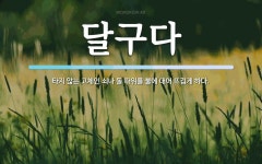 달구다 뜻: 타지 않는 고체인 쇠나 돌 따위를 불에 대어 뜨겁게 하다.