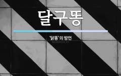 달구똥 뜻: ‘닭똥’의 방언