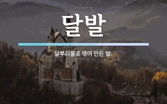 달발 뜻: 달뿌리풀로 엮어 만든 발.