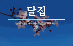 달집 뜻: ‘달무리’의 방언. 제주 지역에서는 ‘\ue38f집’으로도 적는다.