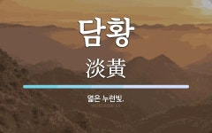 담황 뜻: 엷은 누런빛.