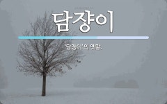 담이 뜻: ‘담쟁이’의 옛말. 담이 뜻: ‘담쟁이’의 옛말.