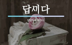 답다 뜻: 답답하게 여기다. 답다 뜻: 답답하게 여기다.
