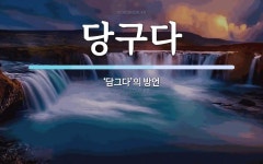 당구다 뜻: ‘담그다’의 방언