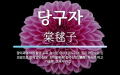 당구자 뜻: 장미과의 낙엽 활엽 교목. 높이는 6미터 정도이며, 잎은 어긋나고 깃 모양으로 얕게 갈라진