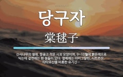 당구자 뜻: 산사나무의 열매. 둥글고 작은 사과 모양이며, 9~10월에 붉은색으로 익는데 겉면에는 흰 당구자 뜻: 산사나무의 열매. 둥글고 작은... 