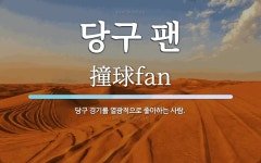 당구 팬 뜻: 당구 경기를 열광적으로 좋아하는 사람.