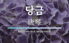 당금 뜻: 중국의 금이라는 뜻으로, 칠현금을 이르는 말.