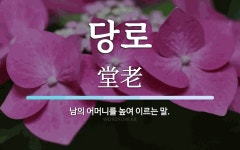 당로 뜻: 남의 어머니를 높여 이르는 말.