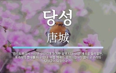 당성 뜻: 경기도 화성시 서신면 상안리에 위치한 삼국 시대 산성. 계곡을 둘러쌓은, 포곡식의 형태를 당성 뜻: 경기도 화성시 서신면 상안리에... 