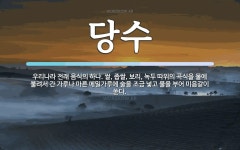 당수 뜻: 우리나라 전래 음식의 하나. 쌀, 좁쌀, 보리, 녹두 따위의 곡식을 물에 불려서 간 가루나